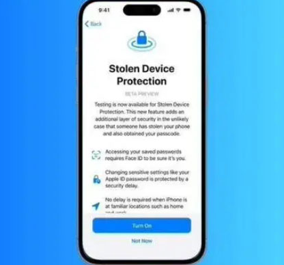 宁阳苹果授权维修店分享被盗设备保护功能开启方法 