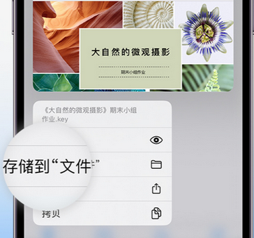 宁阳apple维修中心分享iPhone文件应用中存储和找到下载文件