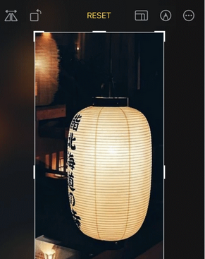 宁阳苹果手机维修店分享iOS17中一键式裁剪功能使用方法
