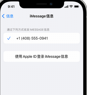 宁阳apple维修iPhone上无法正常发送iMessage信息 