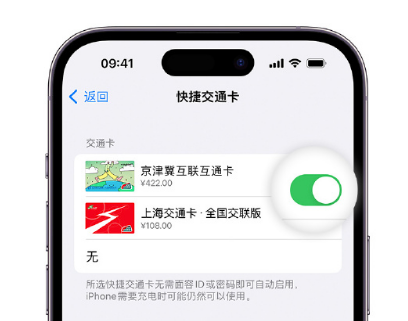 宁阳apple维修点分享iPhone上更换Apple Pay快捷交通卡手绘卡面 