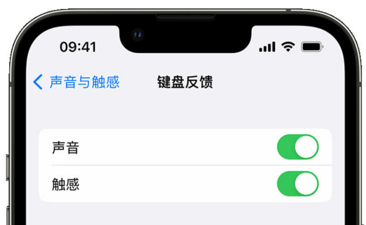 宁阳苹果手机维修分享iPhone 14触感键盘使用方法 