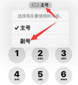 宁阳苹果14维修店分享iPhone 14 Pro Max使用副卡打电话的方法 