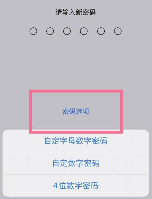 宁阳苹果14维修分享iPhone 14plus设置密码的方法 