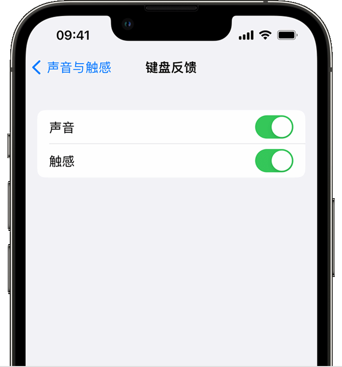 宁阳苹果14维修分享iPhone 14 系列机型如何开启键盘声音或触感反馈 