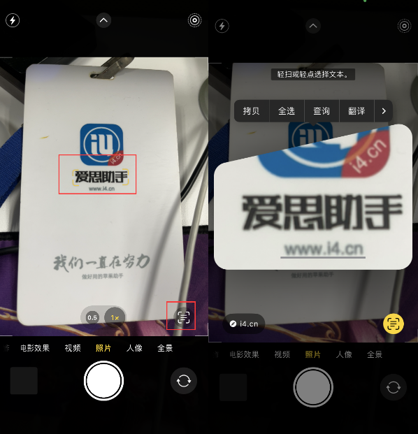 宁阳苹果手机维修分享升级iOS 16后如何通过相机翻译文本 