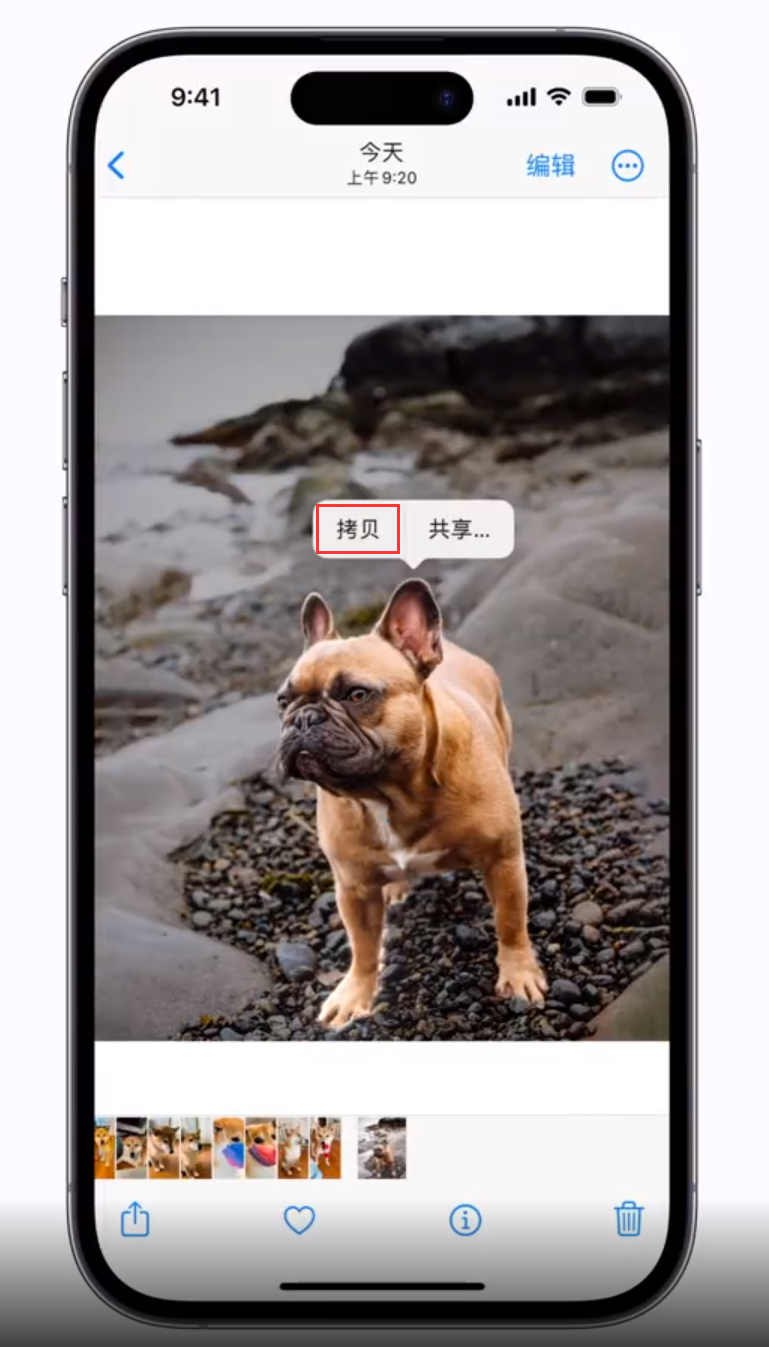 宁阳苹果手机维修分享 iOS 16 自带一键抠图功能 