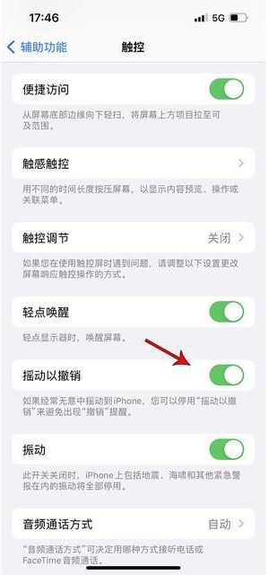 宁阳苹果手机维修分享iPhone手机如何设置摇一摇删除文字 