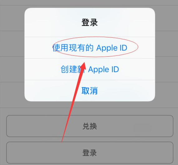 宁阳苹果手机维修分享两台iPhone设备可以同时登录一个Apple ID吗 