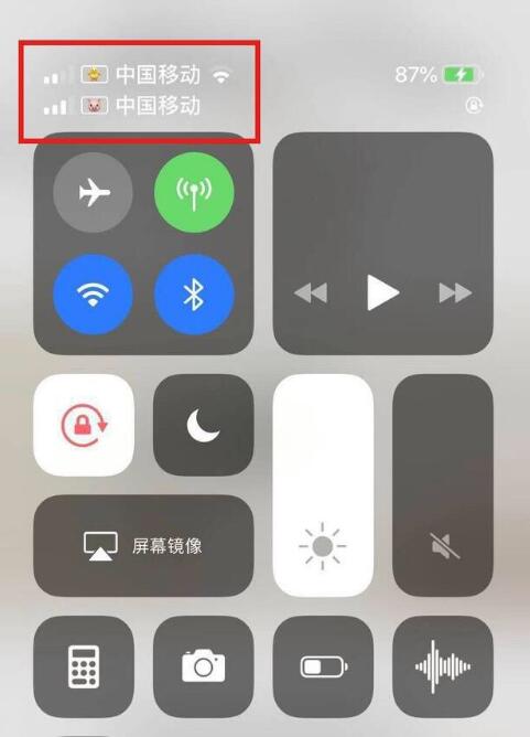 宁阳苹果手机维修分享为 iPhone 12 双卡设置标签 