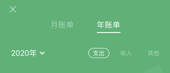 宁阳苹果手机维修分享如何在 iPhone 上查看支付宝和微信年支出账单 