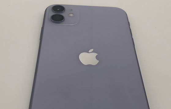 宁阳苹果11系统维修分享iPhone11手机系统崩溃无法开机如何解决